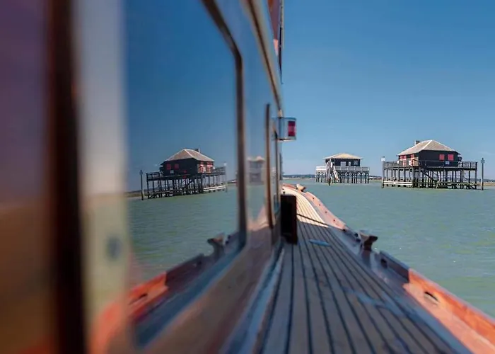 Les Petits Bambous Apartamento Gujan-Mestras