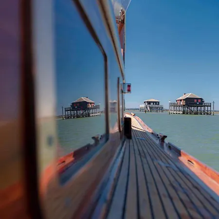 Les Petits Bambous Lägenhet Gujan-Mestras